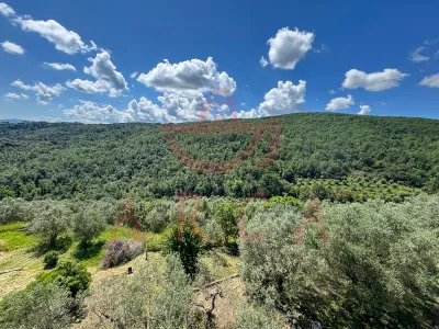 Scandicci - Casignano