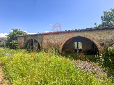 Scandicci - Casignano