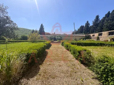 Scandicci - Casignano