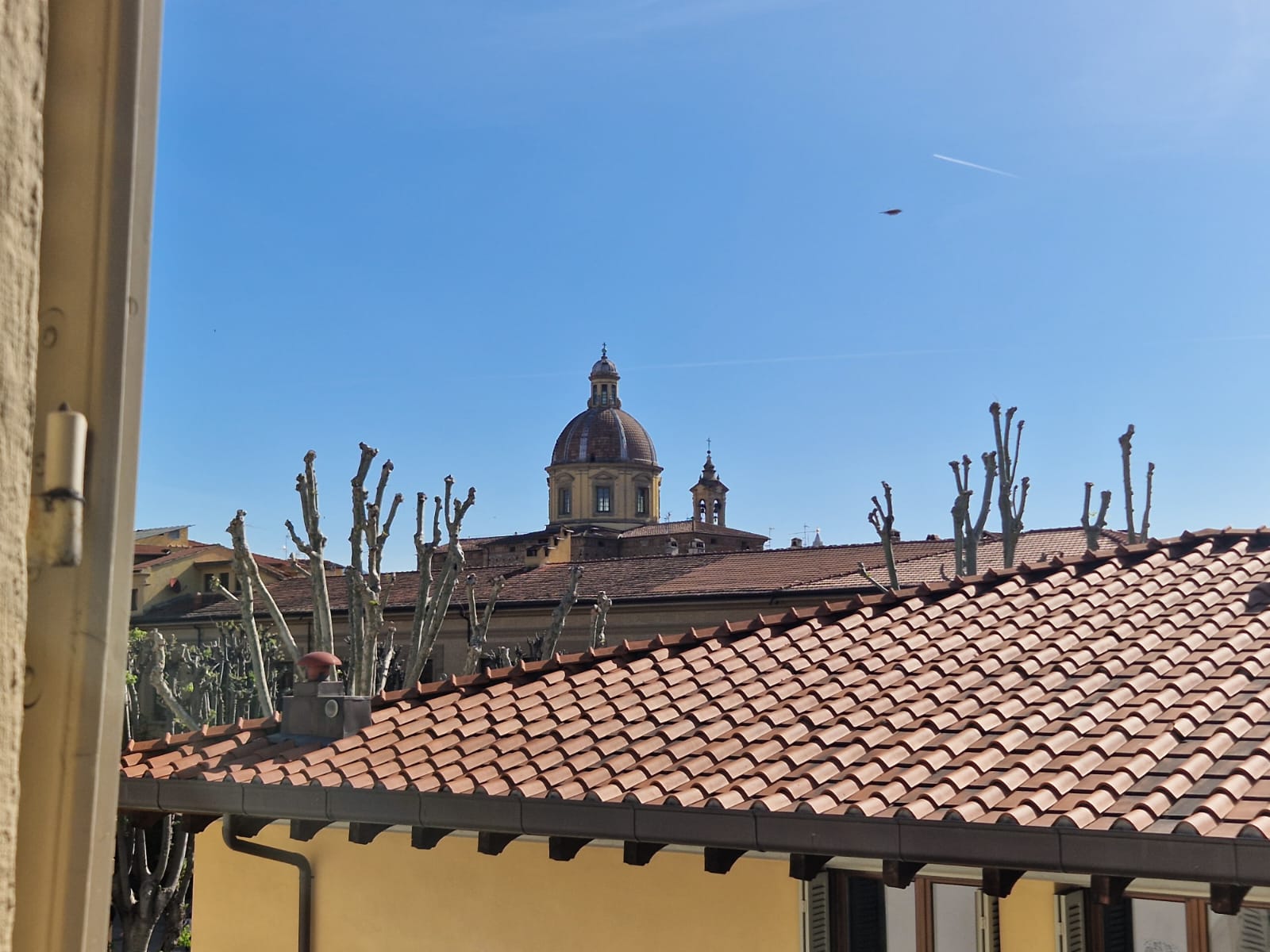 Piazza de' Nerli (N201)