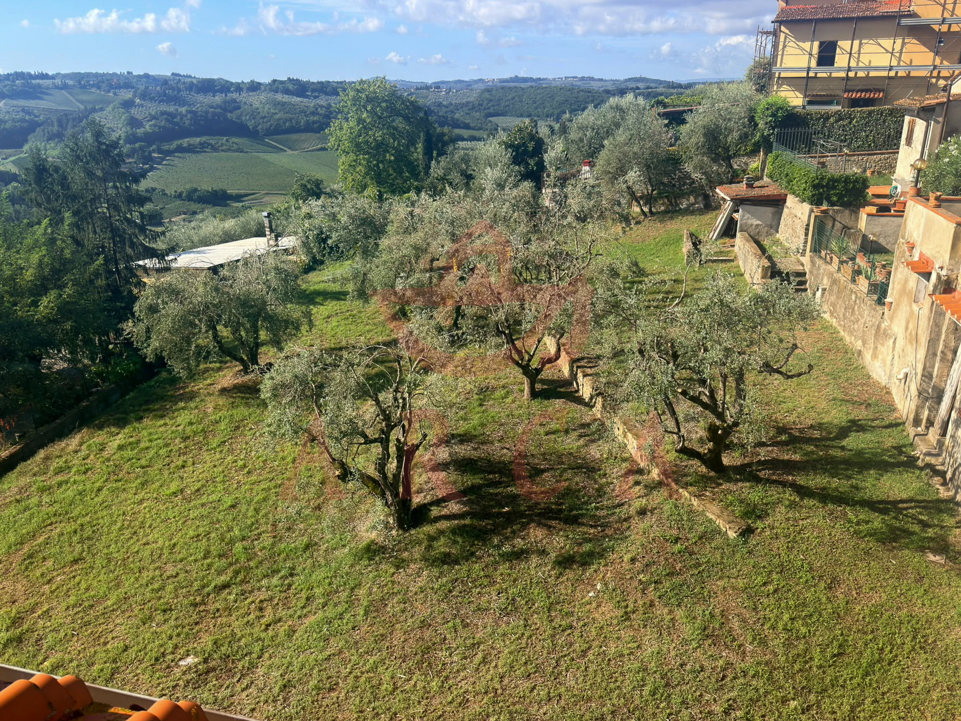 Romola