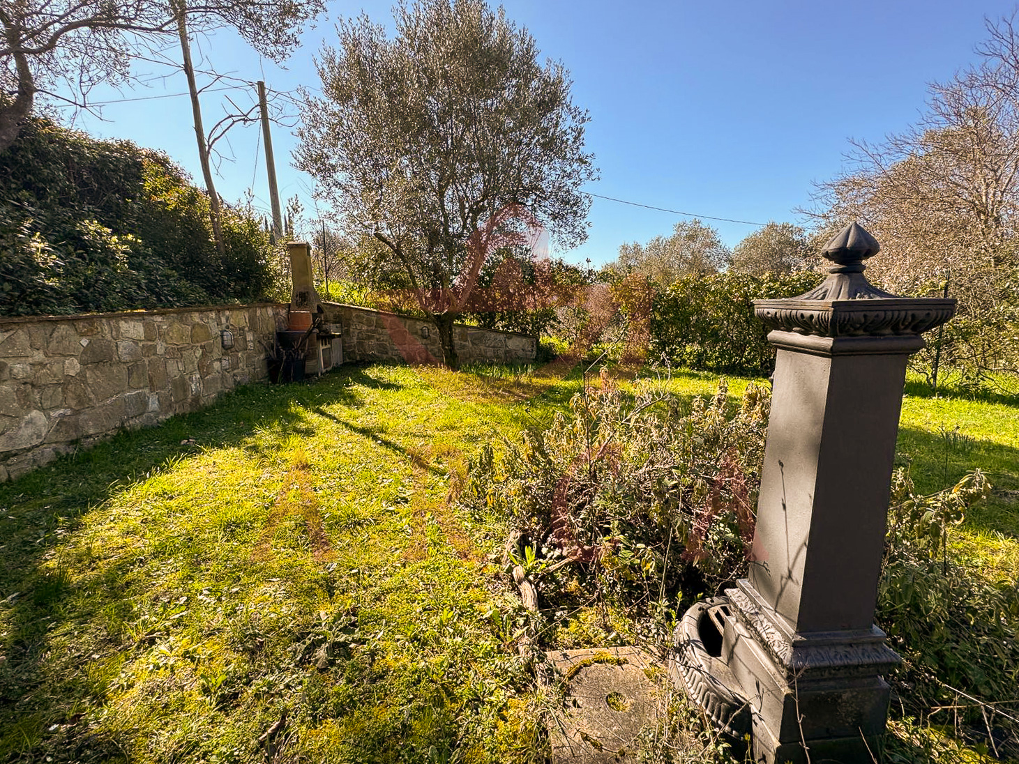 Colline di Scandicci