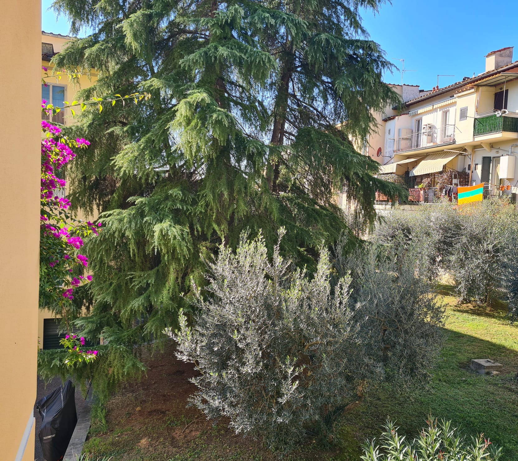 Le Cure - Via Faentina