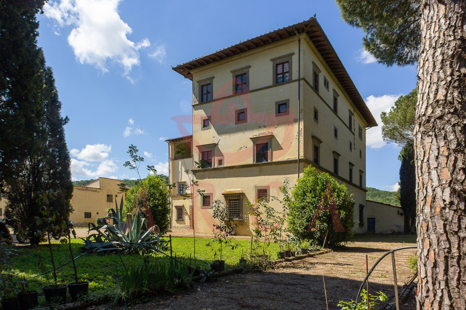 Scandicci - Casignano