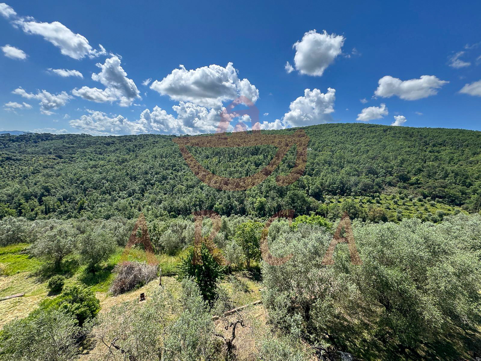 Scandicci - Casignano (A13)