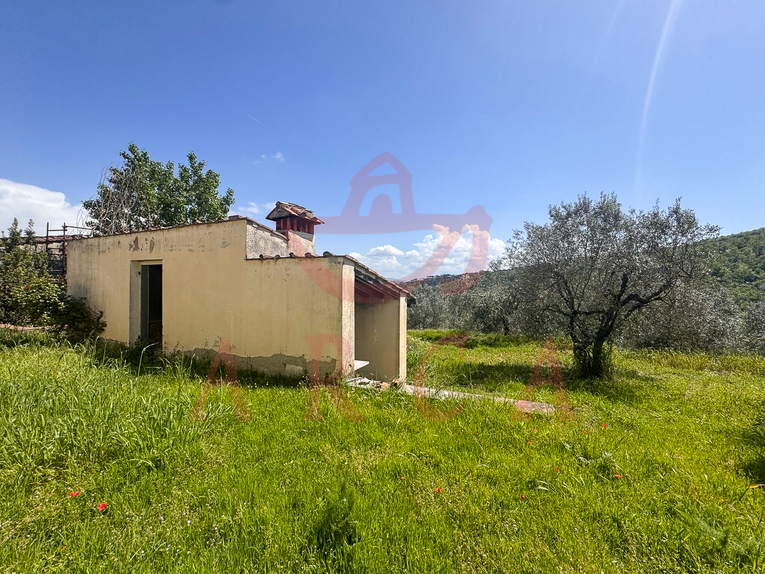 Scandicci - Casignano