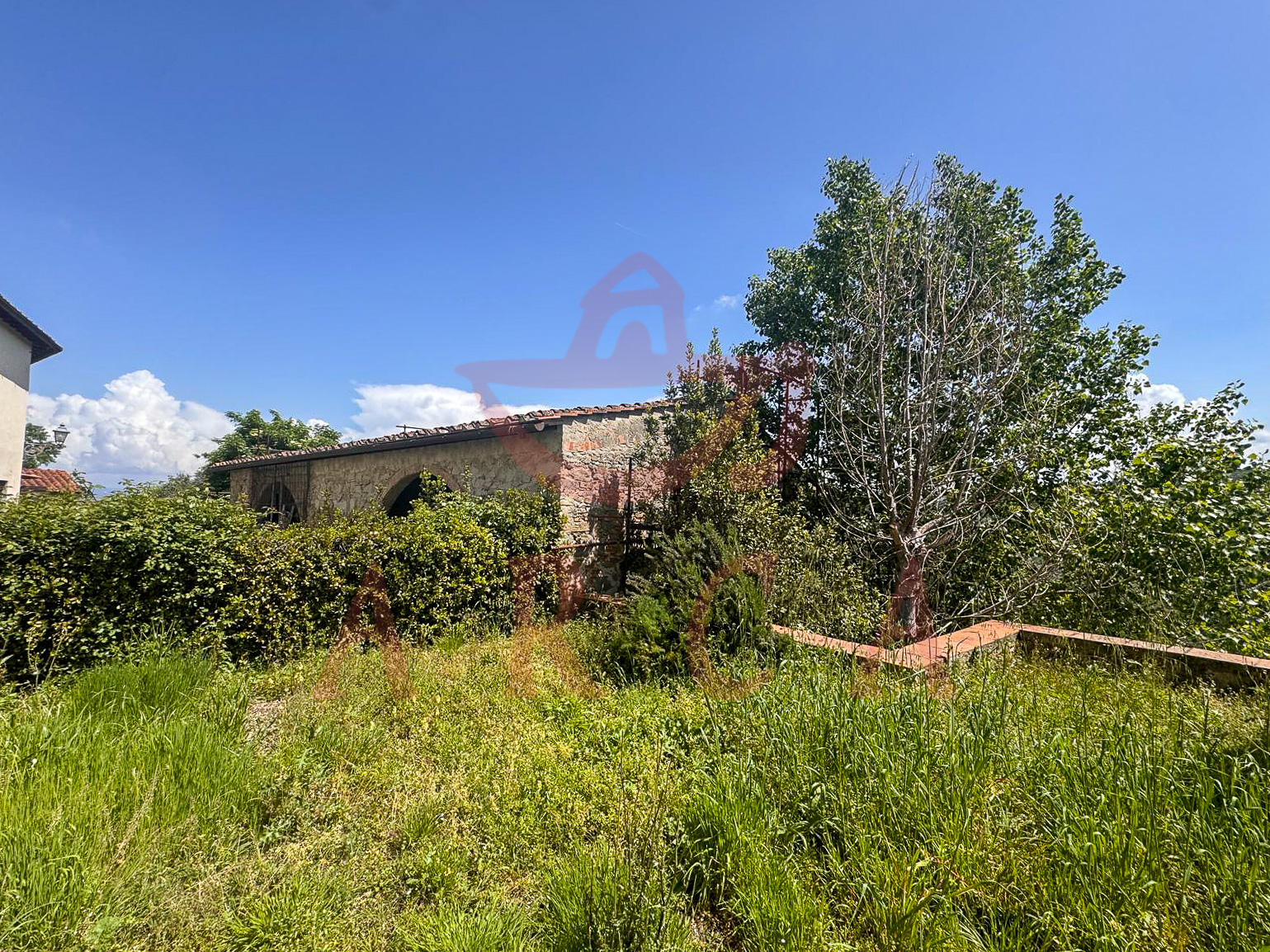 Scandicci - Casignano