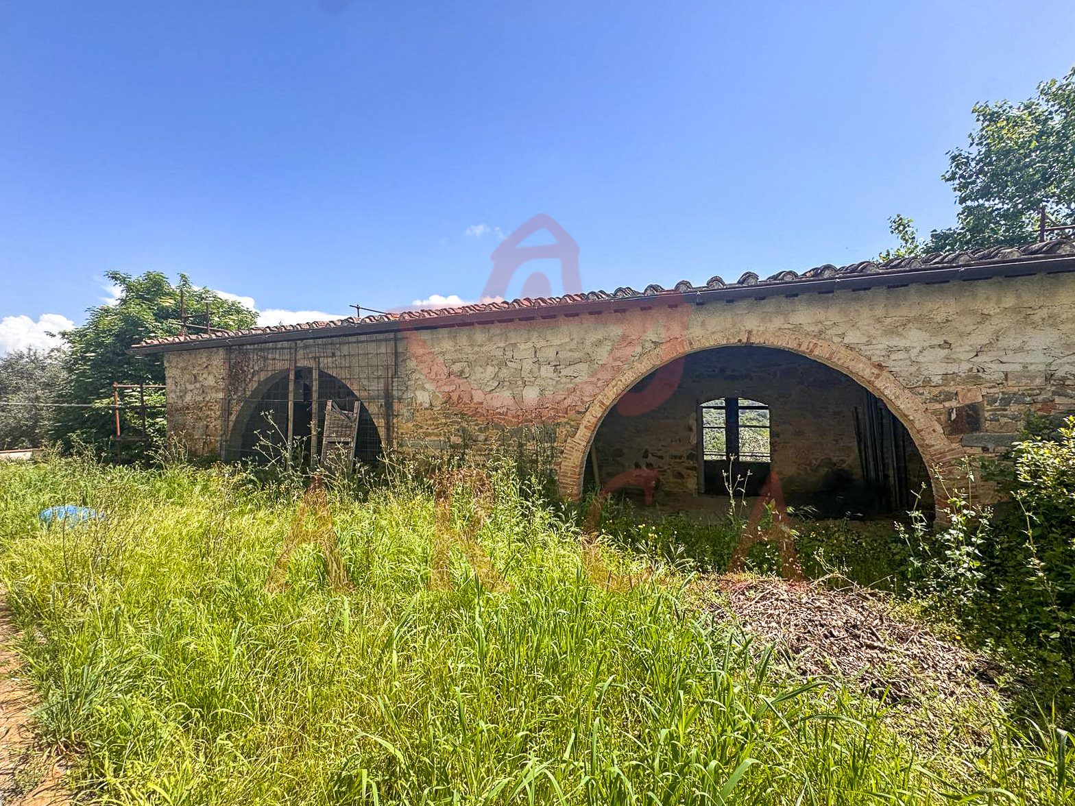 Scandicci - Casignano