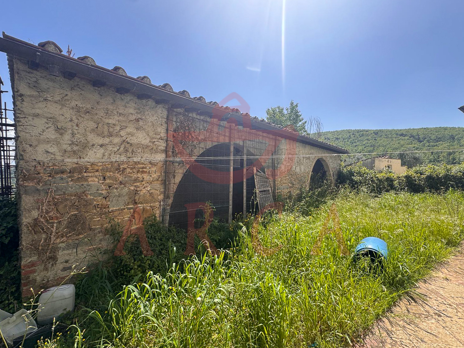 Scandicci - Casignano (C)