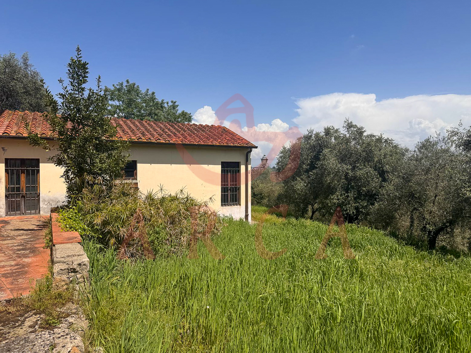 Scandicci - Casignano